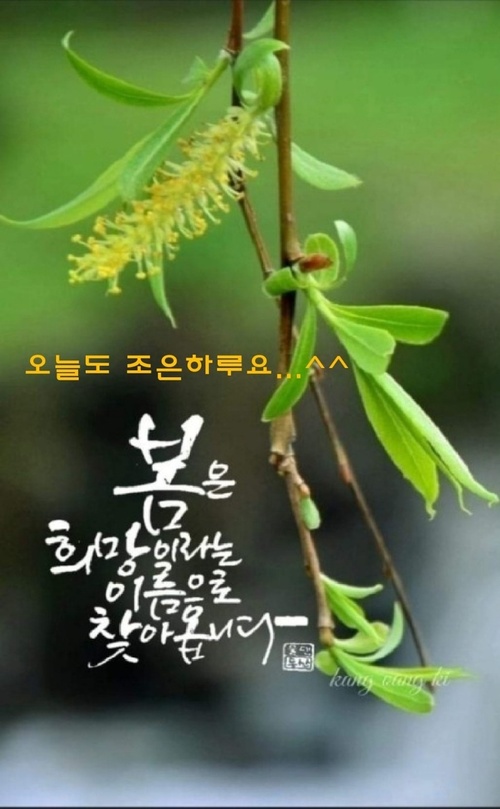 메인사진