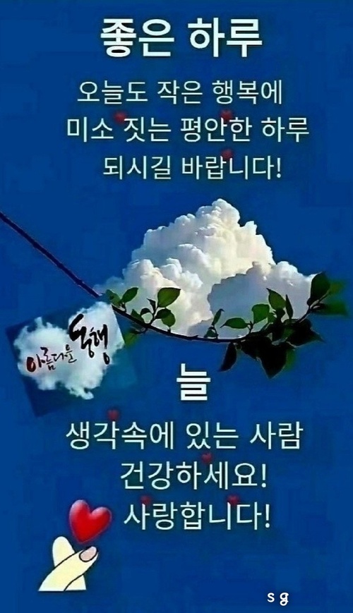 썸네일이미지